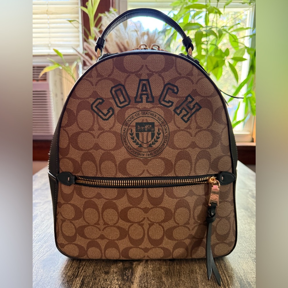 Coach Brown Signature Bag